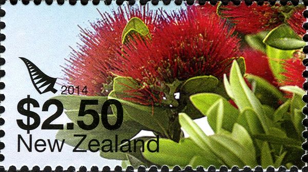 Pohutukawa Flower