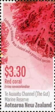 Red Coral, Te Awaatu Marine Reserve