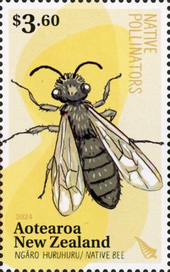 Leioproctus pango