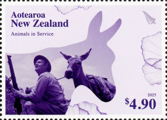 Donkey