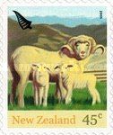 Domestic Sheep (Ovis ammon aries) - Jumbo Roll