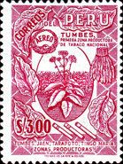 Tobacco-Plant of Tumbes
