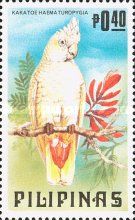 Philippine Cockatoo (Cacatua haematuropygia)