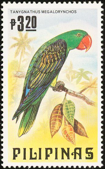 Great-billed Parrot (Tanygnathus megalorynchos)