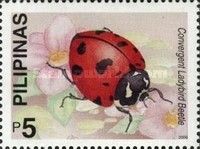 Convergent Ladybug (Hippodamia convergens)