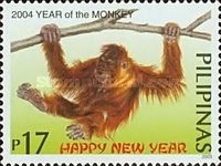 Bornean Orangutan (Pongo pygmaeus)