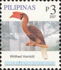 Rufous Hornbill (Buceros hydrocorax)