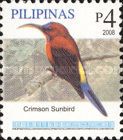 Crimson Sunbird (Aethopyga siparaja) (see Description)