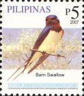 Barn Swallow (Hirundo rustica)