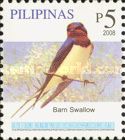 Barn Swallow (Hirundo rustica)