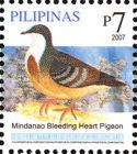 Mindanao Bleeding-heart Pigeon (Gallicolumba criniger)