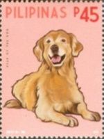 Year of the Dog 2018