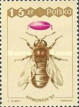 Drone (Apis mellifera)