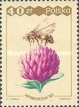 Bee (Apis mellifera) collecting pollen from red clover
