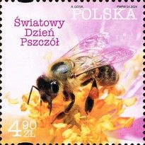 World Bee Day