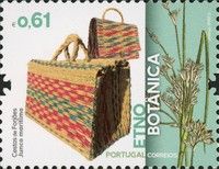Forjães Baskets and Juncus maritimus