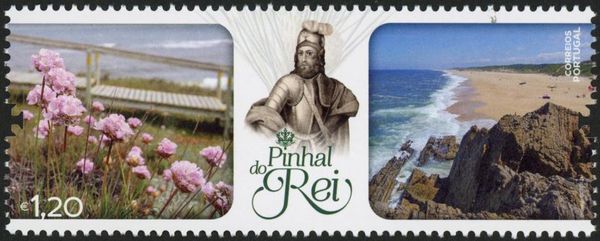 Views of Pinhal do Rei National Forest