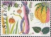 "Hawaï" by Josef Frank