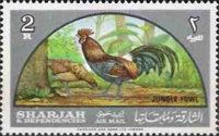 Red Junglefowl (Gallus gallus)