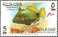 Orange-Lined Triggerfish (Balistapus undulatus)