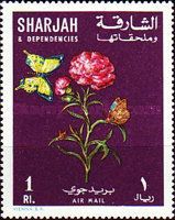 Carnation (Dianthus caryophyllus) and Yellow Butterfly