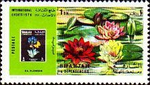 EX. Flowers