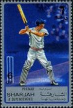 Cricket