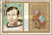 Apollo Astronaut