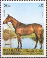 Hanoverian (Equus ferus caballus)