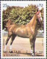 Horse (Equus ferus caballus)