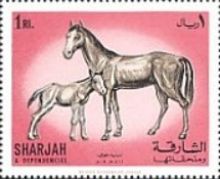 Horses