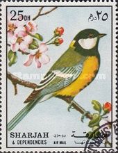 Great Tit (Parus major)