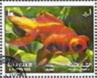 Goldfish (Carassius auratus var.)