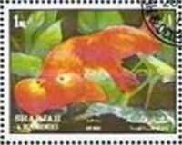 Goldfish (Carassius auratus var.)