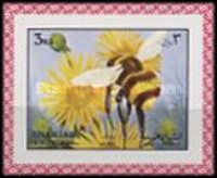 Bumblebee (Bombus sp.)