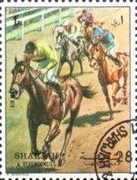 Horse Race