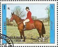Horse Riding