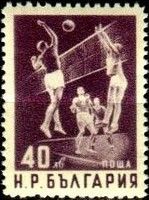 Volleyball