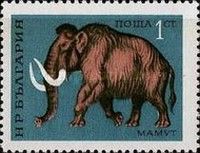 Mammoth