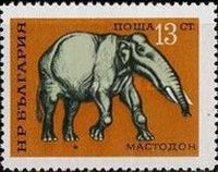 Mastodon