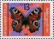 European peacock (Inachis io)