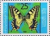 Common Swallowtail (Papillion machaon)