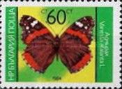 Red Admiral (Vanessa atalanta)