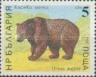 Brown Bear (Ursus arctos)