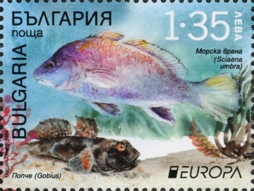 Europa (C.E.P.T.) 2024 - Underwater Flora and Fauna