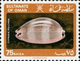 Lovely Cowry (Cypraea pulchra)