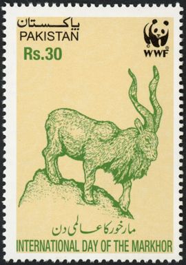 World Wildlife Fund : Day of the Markhor (Capra falconeri)