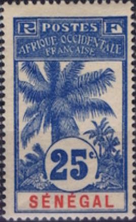 Palm Trees