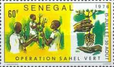 Operation Green Sahel