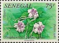 Strophanthus sarmentosus
